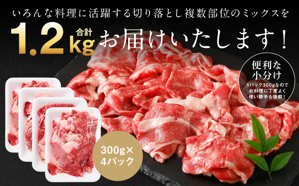 【訳あり】 くまもと黒毛和牛 切り落とし 1.2kg（300g×4） 黒毛和牛 牛肉 和牛 ブランド牛 ブランド和牛 訳あり牛肉 ブランド牛肉 牛肉切り落とし ブランド牛切り落とし 小分け 熊本県産 くまもと 国産 人気 毎月数量限定