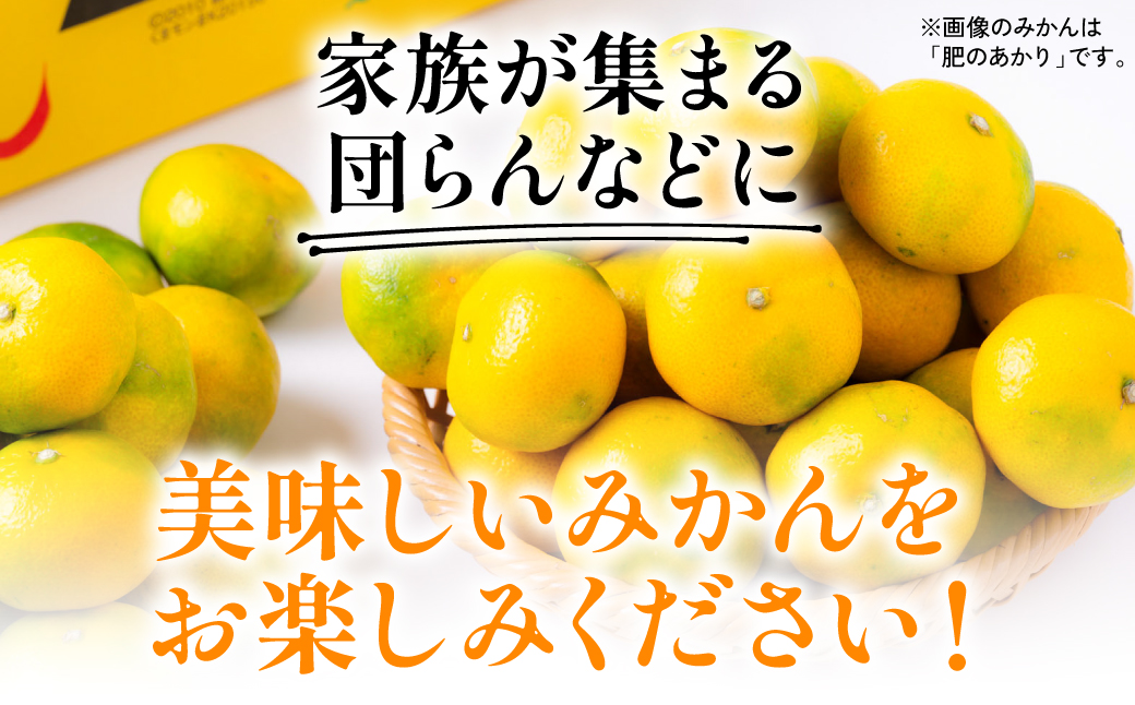 【先行予約】 数量限定 八代市東陽町産の季節のみかん5kg みかん 柑橘 フルーツ 果物 果実 ミカン 蜜柑 熊本県 八代市 【2026年9月下旬より順次発送】