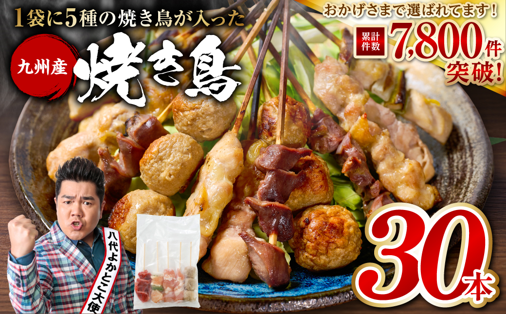 やきとり5種 30本セット お試しサイズ！ 国産 鶏肉 串 九州産 冷凍 小分け ねぎま とろ もも 砂肝 つくね