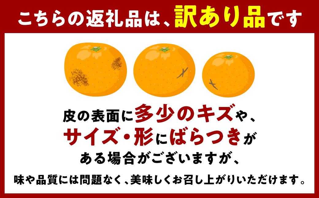 【先行予約】 【訳あり】 不知火 デコみかん 約5kg しらぬい みかん 柑橘 くだもの 果物 フルーツ 旬 熊本県 八代市 【2027年1月中旬より順次発送】
