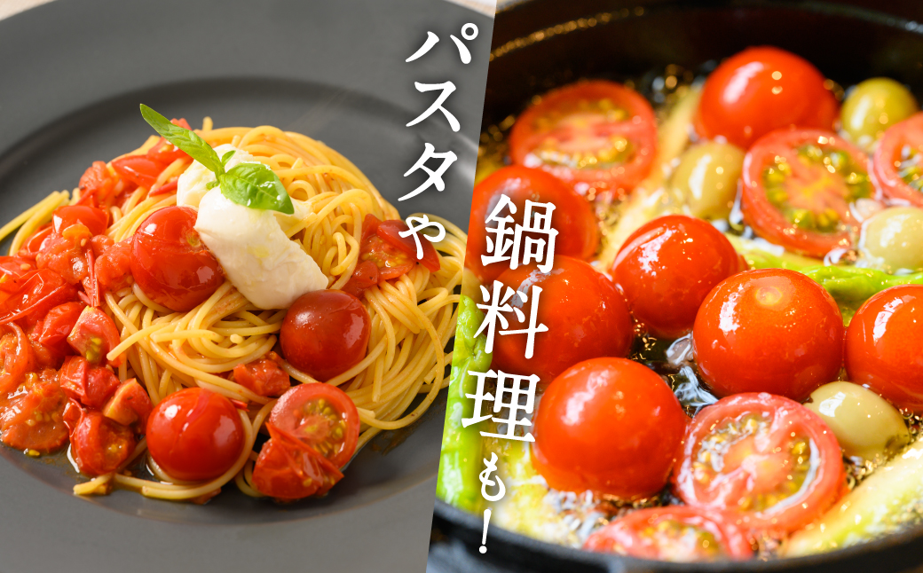 【先行予約】 【定期便3回】 野菜ソムリエ 岡田健志郎が育てた　ミニトマト 3kg以上 トマト とまと 新鮮 サラダ 野菜 やさい 特産品 熊本県 八代市 【2026年12月上旬より順次発送】