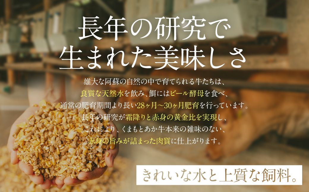 あか牛サーロインステーキセット (あか牛サーロインステーキ200g×2枚、あか牛のたれ200ml付き)