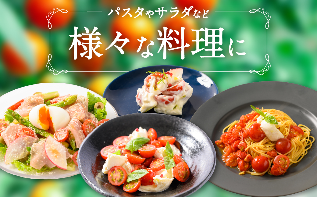 【先行予約】 【定期便3回】 野菜ソムリエ 岡田健志郎が育てた　ミニトマト 3kg以上 トマト とまと 新鮮 サラダ 野菜 やさい 特産品 熊本県 八代市 【2026年12月上旬より順次発送】