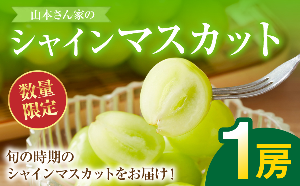 熊本県八代市産 山本さん家の「シャインマスカット」 1房入り(約500g) ぶどう フルーツ マスカット 旬 青果物 果物 新鮮 ギフト 贈り物