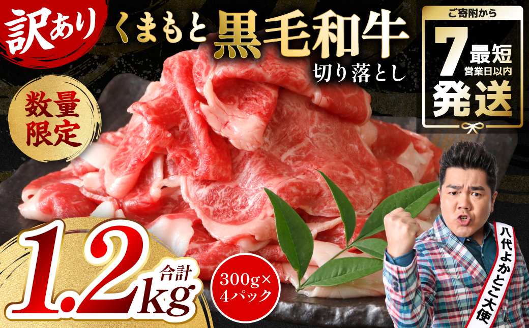 【訳あり】 くまもと黒毛和牛 切り落とし 1.2kg（300g×4） 黒毛和牛 牛肉 和牛 ブランド牛 ブランド和牛 訳あり牛肉 ブランド牛肉 牛肉切り落とし ブランド牛切り落とし 小分け 熊本県産 くまもと 国産 人気 毎月数量限定