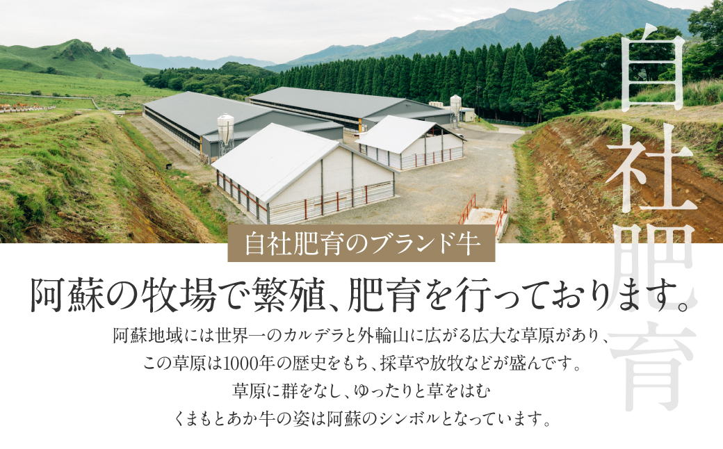 【6ヶ月定期便】あか牛ステーキ食べ比べ