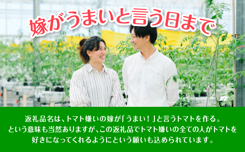 【先行予約】 嫁がうまいと言う日まで 800g トマト ミニトマト とまと 野菜 やさい サラダ 新鮮 リコピン 特産品 熊本県 八代市 【2026年12月上旬より順次発送】