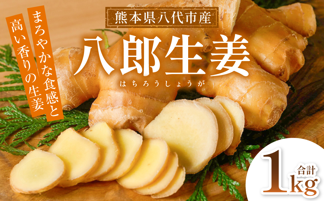 八郎生姜 1kg しょうが ショウガ ガリ ジンジャー 野菜 食品 薬味 生姜焼き しょうが焼き 温活 冷え性 対策 熊本県 八代市 東陽町 産地直送 国産