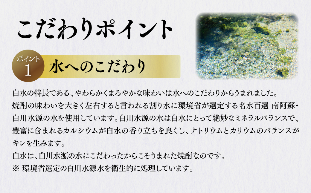 八代不知火蔵 白水 米 華酵母 焼酎 飲み比べ 720ml 各2本 (計4本) 瓶 米焼酎 はくすい 酒 本格焼酎 乙類 25度 蒸留酒 独自の酵母