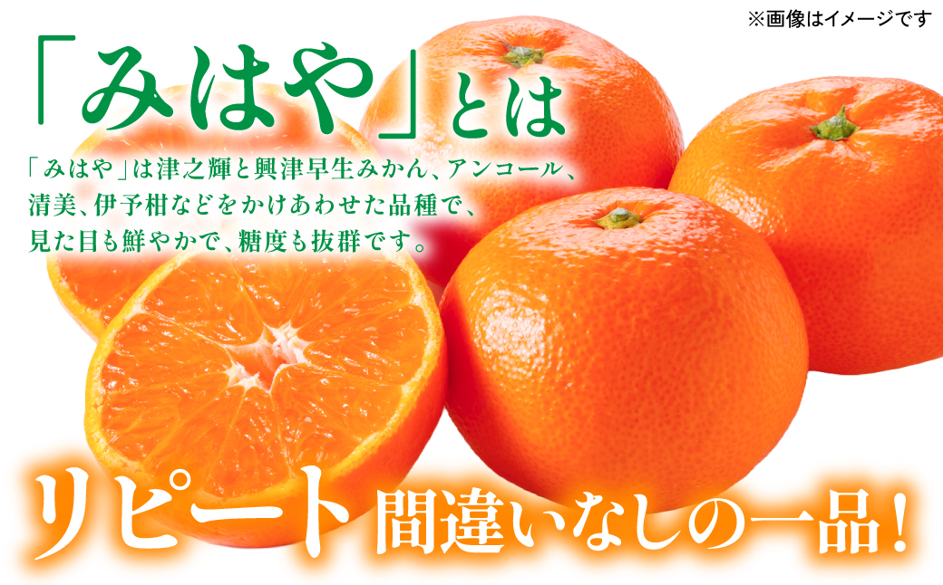 【先行予約】 八代市東陽産 山本さん家の「 みはや 」 5kg みかん 柑橘 フルーツ 果物 果実 ミカン 蜜柑 熊本県 八代市 【2026年12月上旬より順次発送】