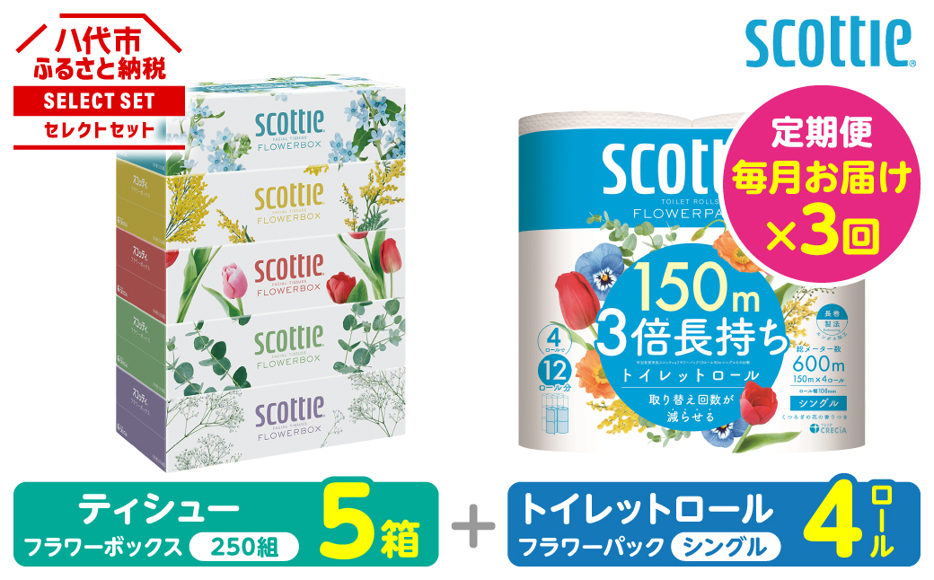 【定期便3回】【毎月お届け】【スコッティ】 組み合わせ ティシュー フラワーボックス 250組 5箱 計15箱 トイレットロール シングル フラワーパック 3倍長持ち 4ロール 計12ロール ティッシュ トイレットペーパー 日用品 防災備蓄 ストック 備蓄 新生活 防災 消耗品 生活用品 日用消耗品 箱ティッシュ 熊本県 八代市