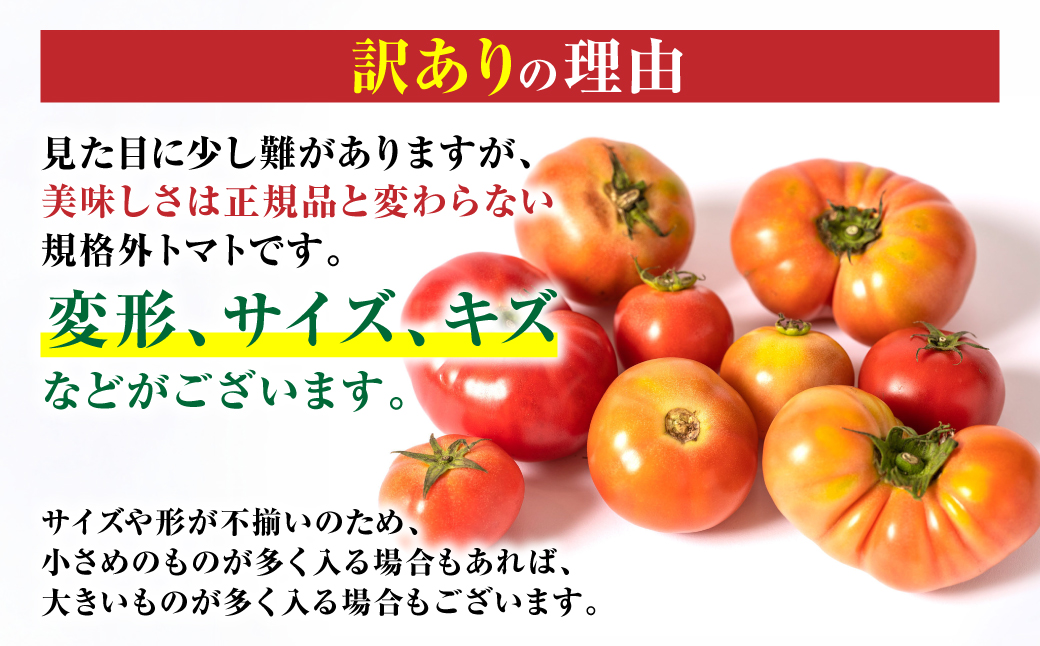 【先行予約】 訳ありトマト 約4.5kg トマト 野菜 やさい 新鮮 とまと 訳あり 特産品 熊本県 八代市 【2027年4月中旬より順次発送】