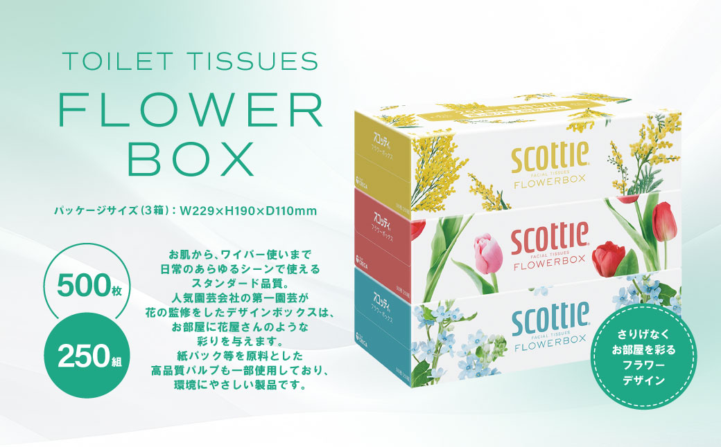 【定期便6回】【毎月お届け】【スコッティ】 ティシュー フラワーボックス 250組 3箱 計18箱 ティッシュ 日用品 生活必需品 消耗品 紙 備蓄 防災備蓄 ストック デザインボックス 新生活 防災 生活用品 日用消耗品 箱ティッシュ 熊本県 八代市