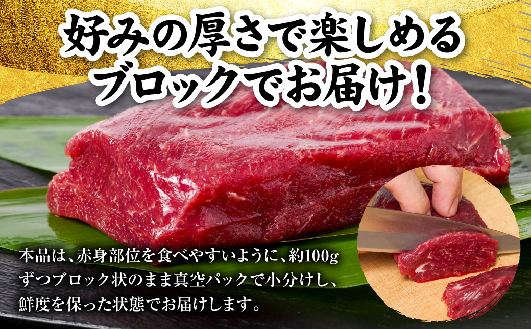 国産 熊本肥育 赤身 馬刺し 合計500g （100g×5パック） 馬肉 刺し身 刺身 新鮮 ヘルシー おつまみ 晩酌 贈り物 真空パック ブロック 冷凍 熊本県 八代市