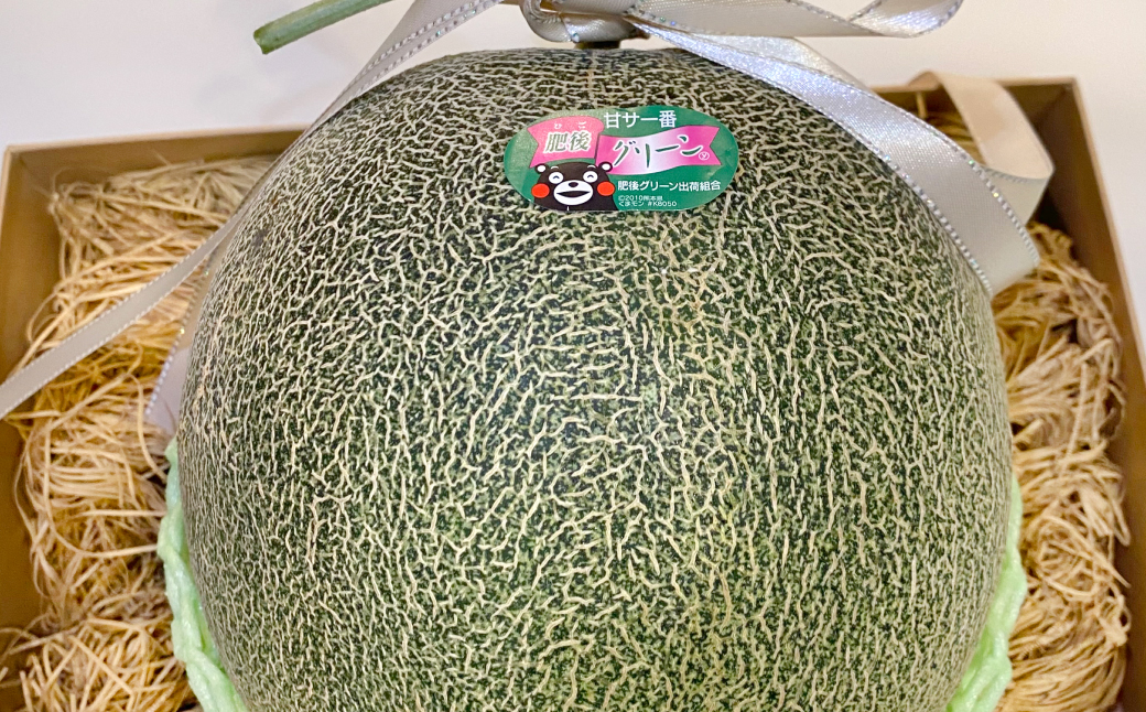 【先行予約】熊本県 八代市産 肥後グリーン 約4kg （2玉入） メロン 果物 くだもの フルーツ 青肉 デザート 贈り物 熊本県 八代市 【2027年5月中旬より順次発送】