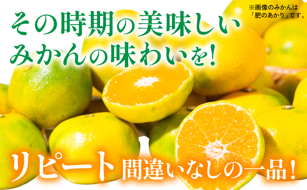 【先行予約】 数量限定 八代市東陽町産の季節のみかん5kg みかん 柑橘 フルーツ 果物 果実 ミカン 蜜柑 熊本県 八代市 【2026年9月下旬より順次発送】