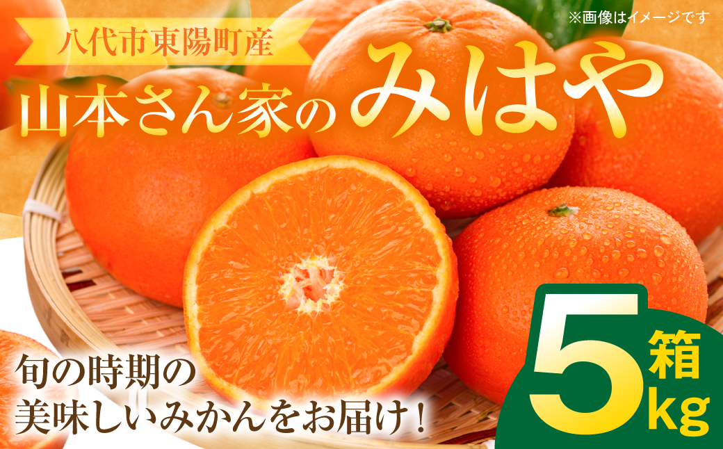 【先行予約】 八代市東陽産 山本さん家の「 みはや 」 5kg みかん 柑橘 フルーツ 果物 果実 ミカン 蜜柑 熊本県 八代市 【2026年12月上旬より順次発送】
