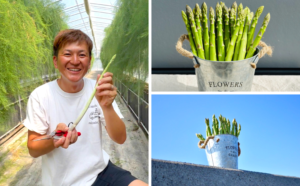 熊本県 八代市産 アスパラガス 2kg 新鮮 アスパラ 野菜 やさい 旬