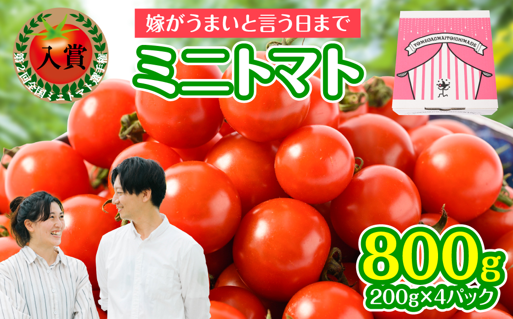 【先行予約】 嫁がうまいと言う日まで 800g トマト ミニトマト とまと 野菜 やさい サラダ 新鮮 リコピン 特産品 熊本県 八代市 【2026年12月上旬より順次発送】