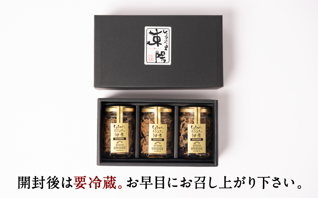 生姜ときくらげの佃煮 3本セット 生姜 きくらげ 佃煮 つくだに おかず 朝ごはん ご飯のお供 和食 八代市 東陽町