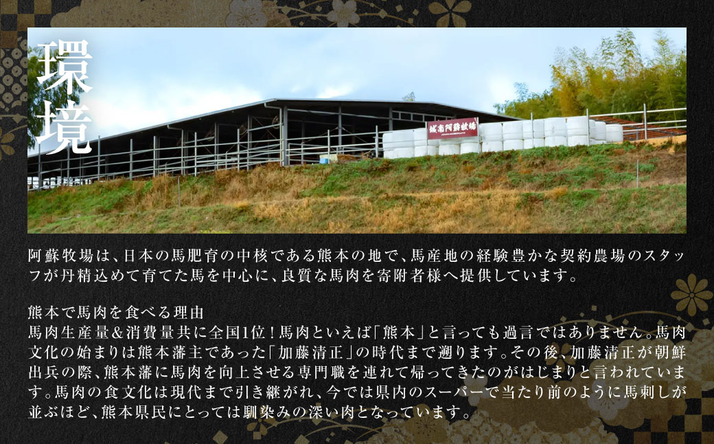 大トロ馬刺し 300g 馬さし お肉 馬肉 刺身 刺し身 馬刺し 馬刺しブロック 霜降り おかず おつまみ 熊本県 八代市