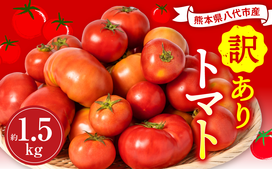【先行予約】 訳ありトマト 約1.5kg トマト 野菜 やさい 新鮮 とまと 訳あり 特産品 熊本県 八代市 【2027年4月中旬より順次発送】