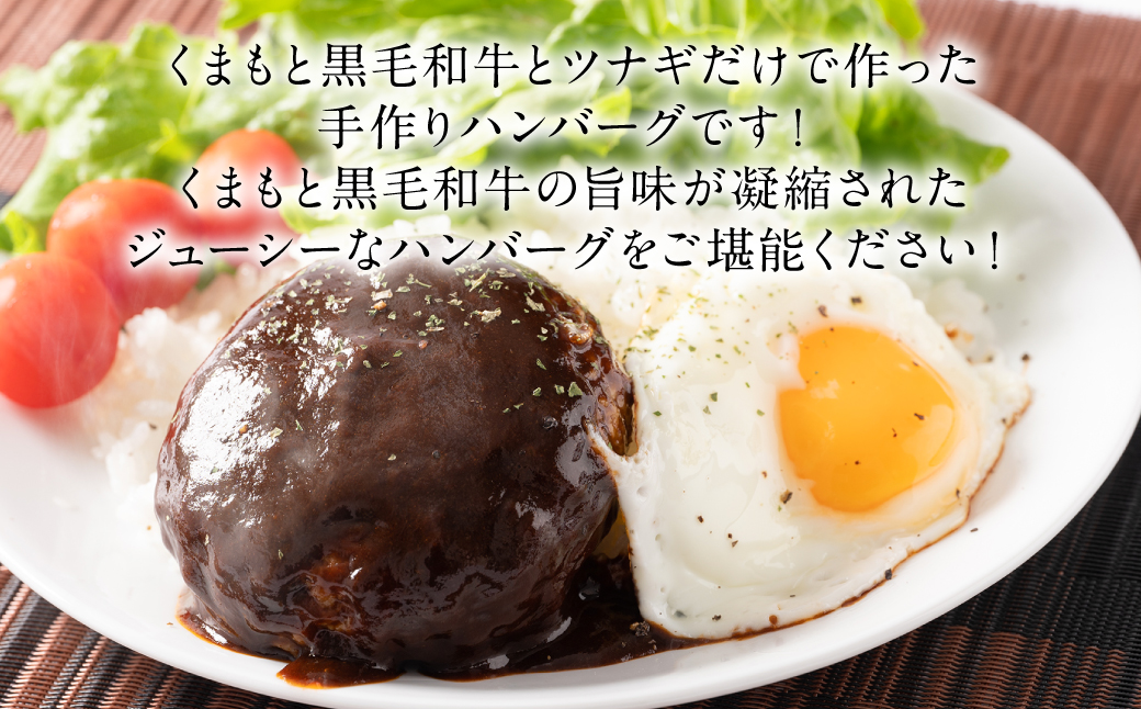 くまもとDREAMバーグ 150g×5 くまもと黒毛和牛100% ハンバーグ 黒毛和牛 おかず 惣菜 洋食 お肉 肉 牛肉 にく 冷凍 熊本県 八代市