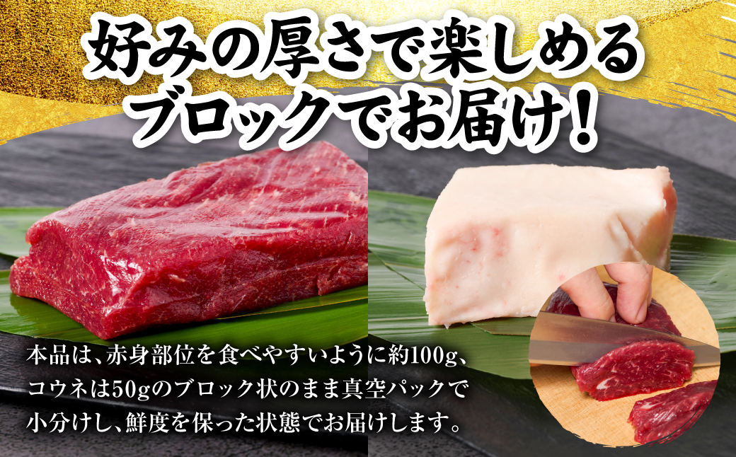 国産 熊本肥育 紅白馬刺しセット 合計850g （赤身700g・コウネ150g） 馬肉 赤身 コウネ たてがみ 刺し身 刺身 新鮮 ヘルシー おつまみ 晩酌 贈り物 真空パック ブロック 冷凍 熊本県 八代市