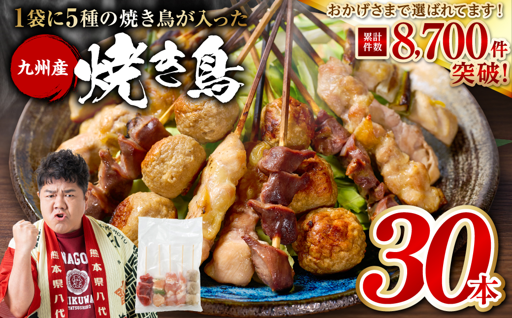 やきとり5種 30本セット お試しサイズ！ 国産 鶏肉 串 九州産 冷凍 小分け ねぎま とろ もも 砂肝 つくね