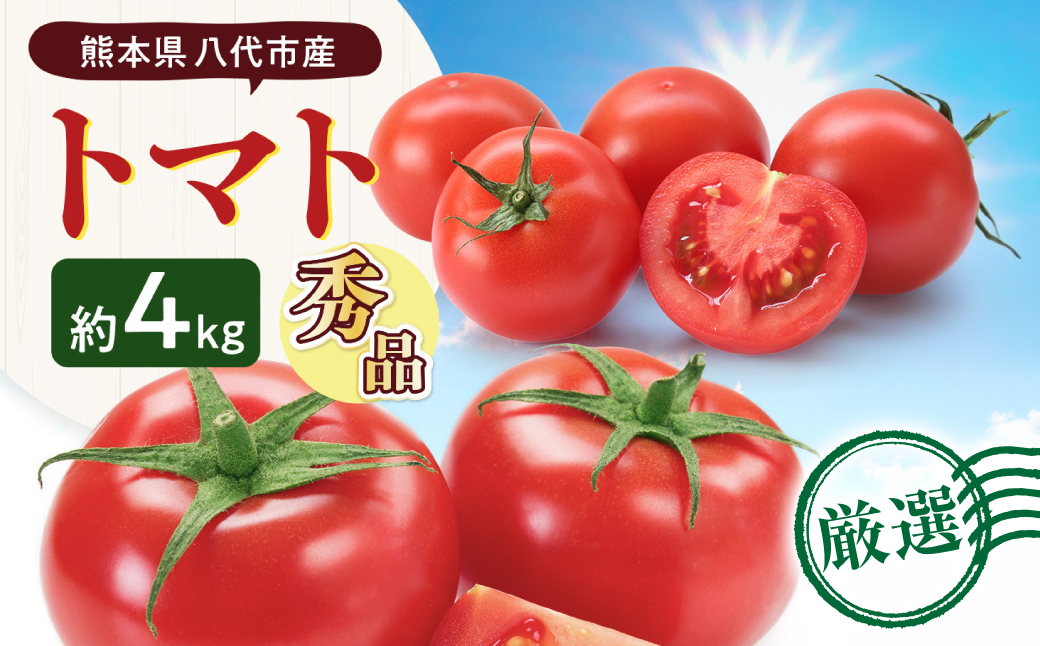 【先行予約】 熊本県八代市産 トマト 約4kg (20玉または24玉) とまと 野菜 やさい サラダ 旬 旬の野菜 新鮮 新鮮な野菜 熊本県 八代市 【2027年1月上旬より順次発送】