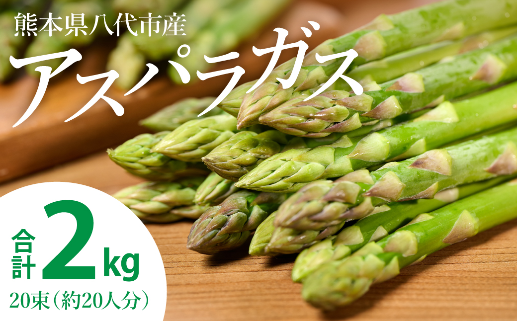 熊本県 八代市産 アスパラガス 2kg 新鮮 アスパラ 野菜 やさい 旬
