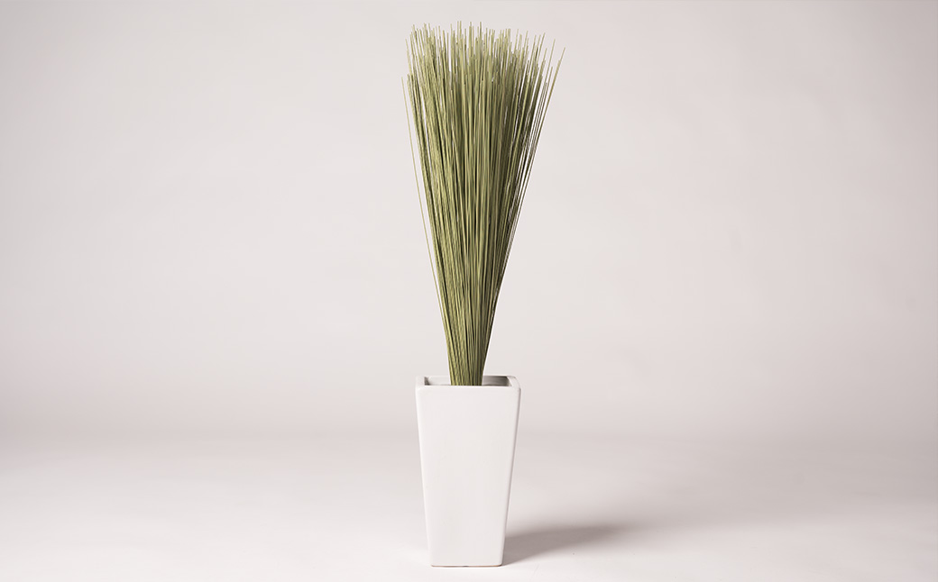 八代市 装飾い草「香雅美草」一束（長さ:約68cm×直径:約3.5cm・145g)x5本セット 熊本県産