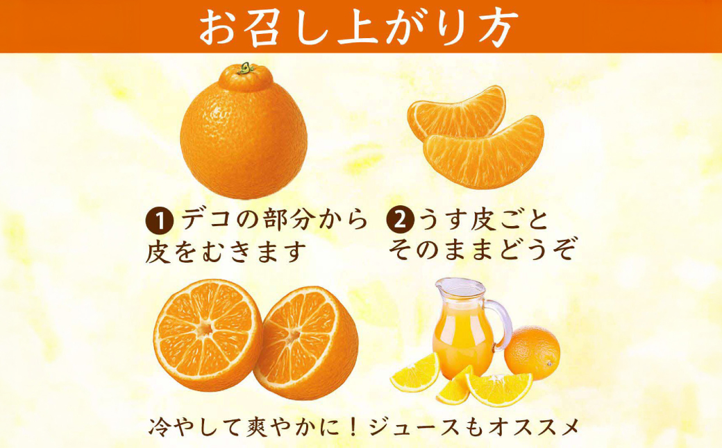 【先行予約】 【訳あり】 不知火 デコみかん 約5kg しらぬい みかん 柑橘 くだもの 果物 フルーツ 旬 熊本県 八代市 【2027年1月中旬より順次発送】