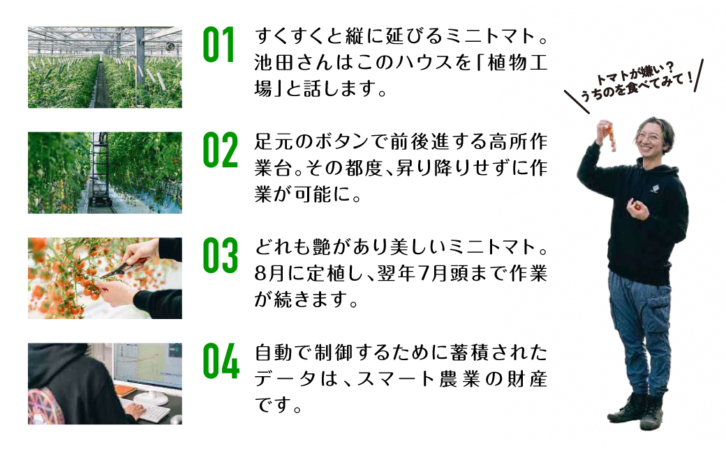 【先行予約】 嫁がうまいと言う日まで 800g トマト ミニトマト とまと 野菜 やさい サラダ 新鮮 リコピン 特産品 熊本県 八代市 【2026年12月上旬より順次発送】