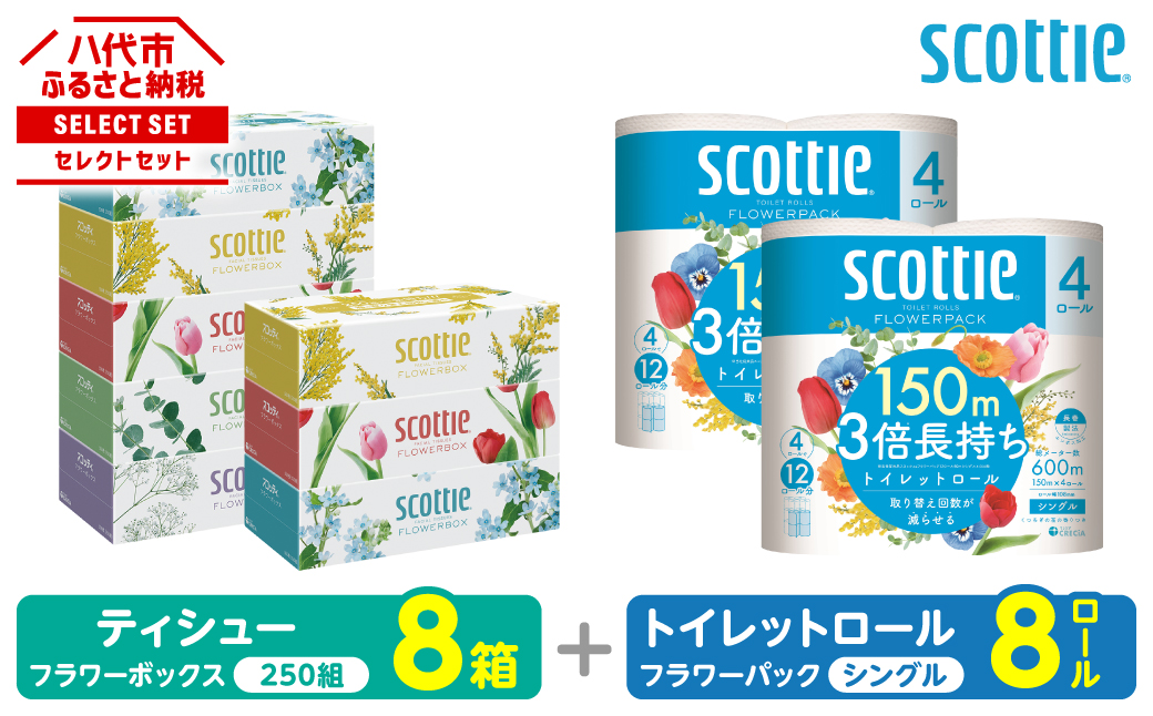 【スコッティ】 組み合わせ ティシュー フラワーボックス 250組 8箱 トイレットロール シングル フラワーパック 3倍長持ち 8ロール ティッシュ トイレットペーパー 日用品 防災備蓄 ストック 備蓄 新生活 防災 消耗品 生活用品 日用消耗品 箱ティッシュ