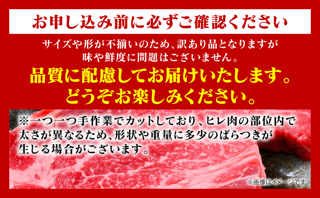 【訳あり】 【A4～A5ランク】 くまもと黒毛和牛 ヒレ ステーキ 100g （100g×1枚） フィレ ヒレステーキ フィレステーキ 和牛ステーキ 牛肉 お肉 黒毛和牛 冷凍 小分け 焼肉 BBQ おかず 熊本県 八代市