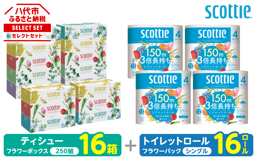 【スコッティ】 組み合わせ ティシュー フラワーボックス 250組 16箱 トイレットロール シングル フラワーパック 3倍長持ち 16ロール ティッシュ トイレットペーパー 日用品 防災備蓄 ストック 備蓄 新生活 防災 消耗品 生活用品 日用消耗品 箱ティッシュ