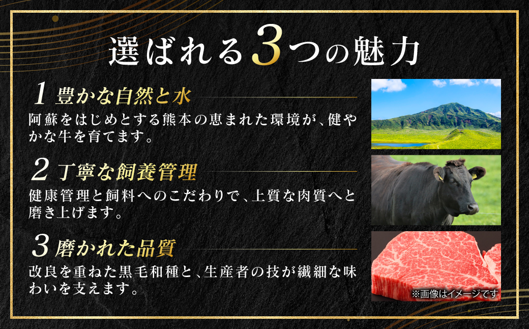 【訳あり】 【A4～A5ランク】 くまもと黒毛和牛 ヒレ ステーキ 100g （100g×1枚） フィレ ヒレステーキ フィレステーキ 和牛ステーキ 牛肉 お肉 黒毛和牛 冷凍 小分け 焼肉 BBQ おかず 熊本県 八代市