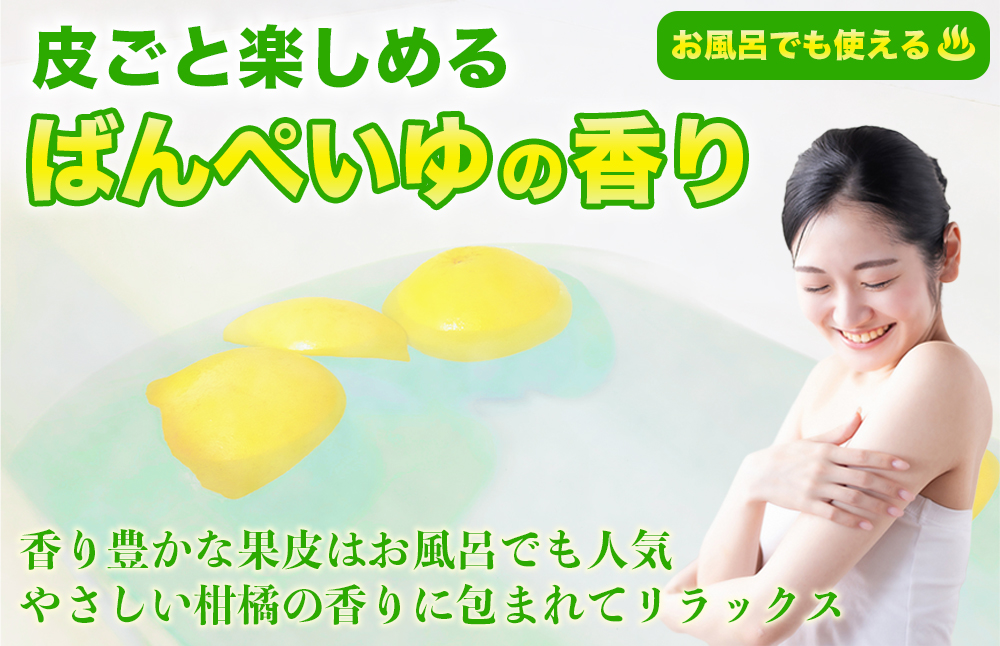 【先行予約】 晩白柚 ばんぺいゆ 3Lサイズ 1玉 約2.5kg 果物 果実 くだもの フルーツ 柑橘 柑橘類 熊本県 八代市 【2026年12月上旬より順次発送】