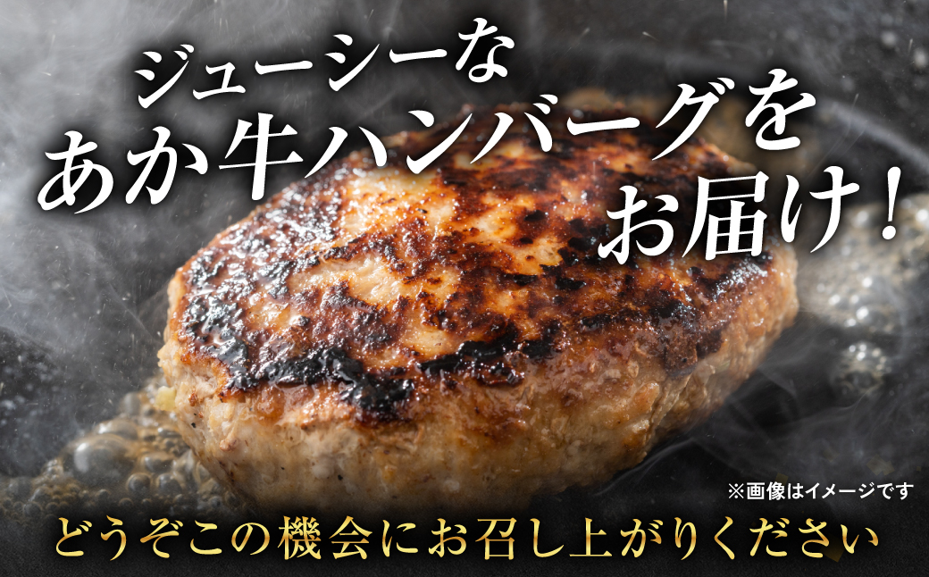 肥後のあか牛 ハンバーグ 150g×10個 おかず 惣菜 洋食 お肉 肉 にく 冷凍 熊本県 八代市
