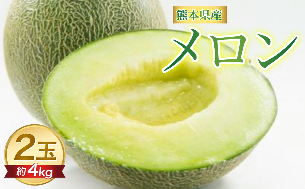 【先行予約】熊本県 八代市産 肥後グリーン 約4kg （2玉入） メロン 果物 くだもの フルーツ 青肉 デザート 贈り物 熊本県 八代市 【2027年5月中旬より順次発送】