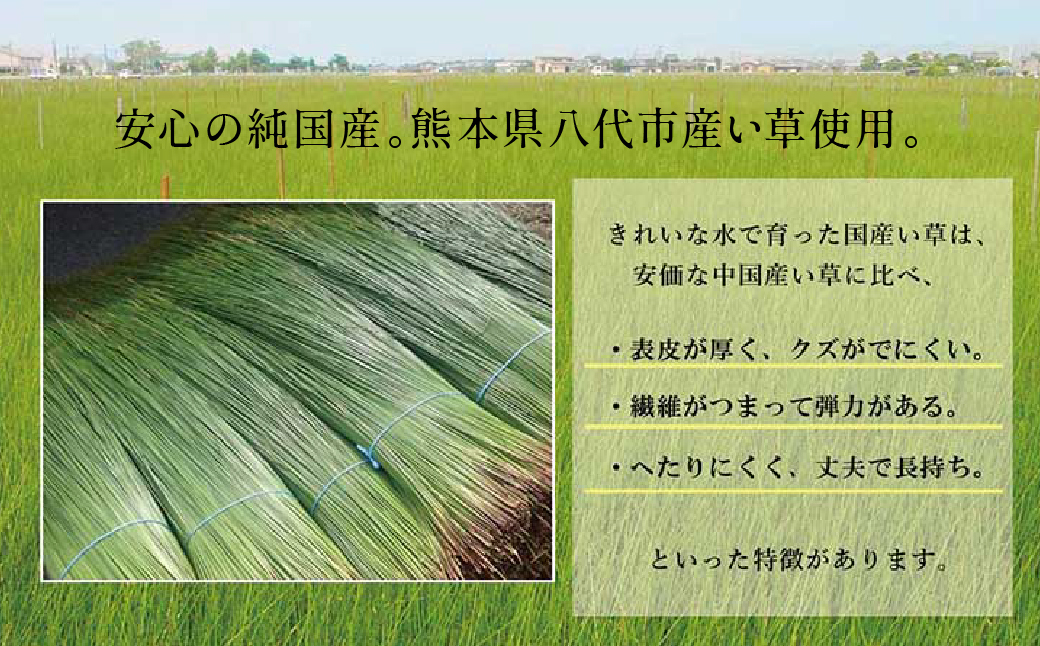 い草ネゴザ（白水）BL 88×180cm  シーツ 寝具 寝ござ 調湿 敷布団 マット い草シーツ シングル ラグ 夏用 夏 和風 和 八代市産 国産 日本製