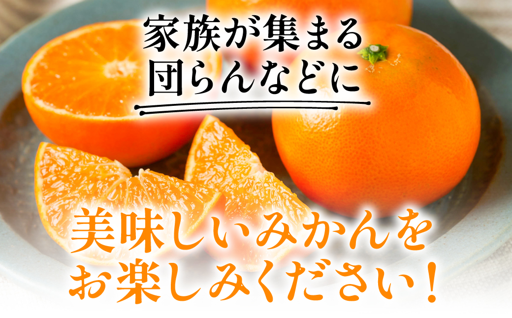 【先行予約】 八代市東陽産 山本さん家の「 みはや 」 5kg みかん 柑橘 フルーツ 果物 果実 ミカン 蜜柑 熊本県 八代市 【2026年12月上旬より順次発送】