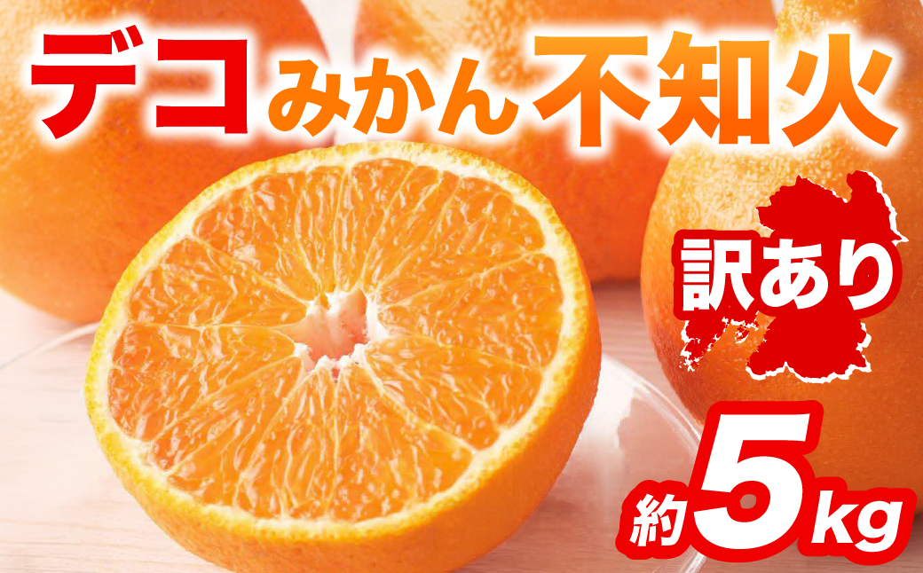 【先行予約】 【訳あり】 不知火 デコみかん 約5kg しらぬい みかん 柑橘 くだもの 果物 フルーツ 旬 熊本県 八代市 【2027年1月中旬より順次発送】