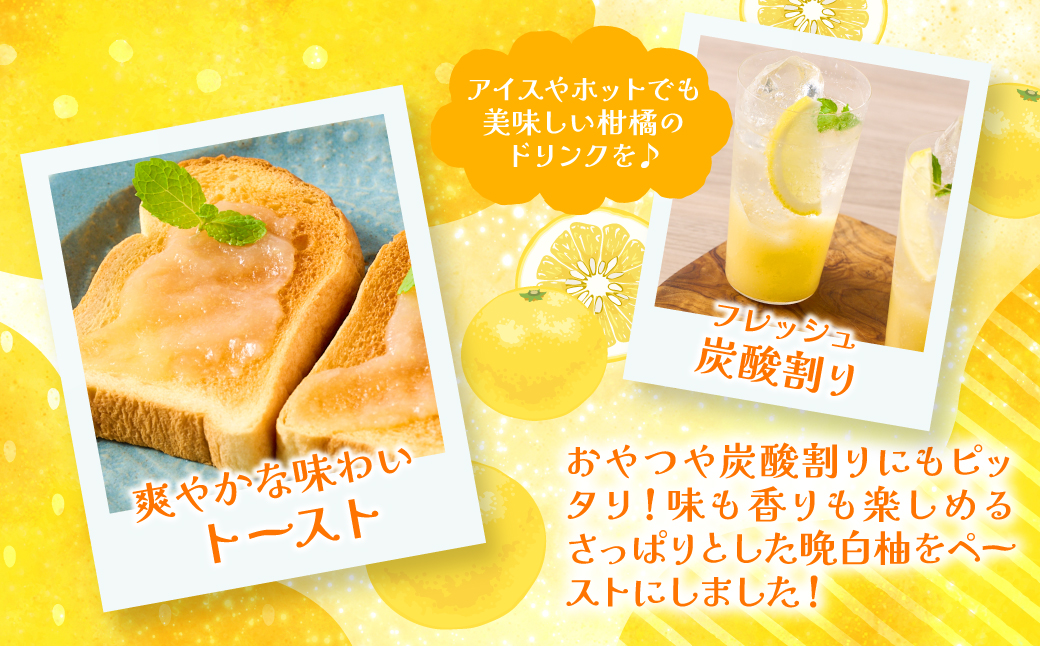 熊本県 八代市産 晩白柚 ペースト「マキシト」『お手軽セット』（合計740g） ばんぺいゆ 柑橘 手作り ペースト ジャム フルーツソース ジュレ ピューレ 炭酸割り アイス ヨーグルト トースト パンケーキ