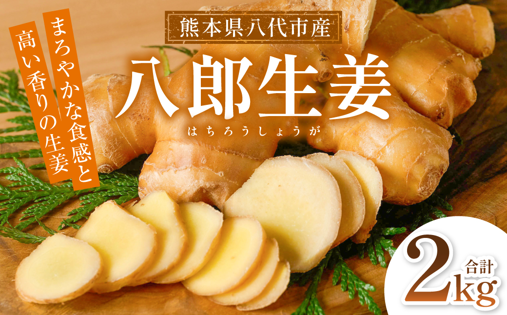 八郎生姜 2kg しょうが ショウガ ガリ ジンジャー 野菜 食品 薬味 生姜焼き しょうが焼き 温活 冷え性 対策 熊本県 八代市 東陽町 産地直送 国産