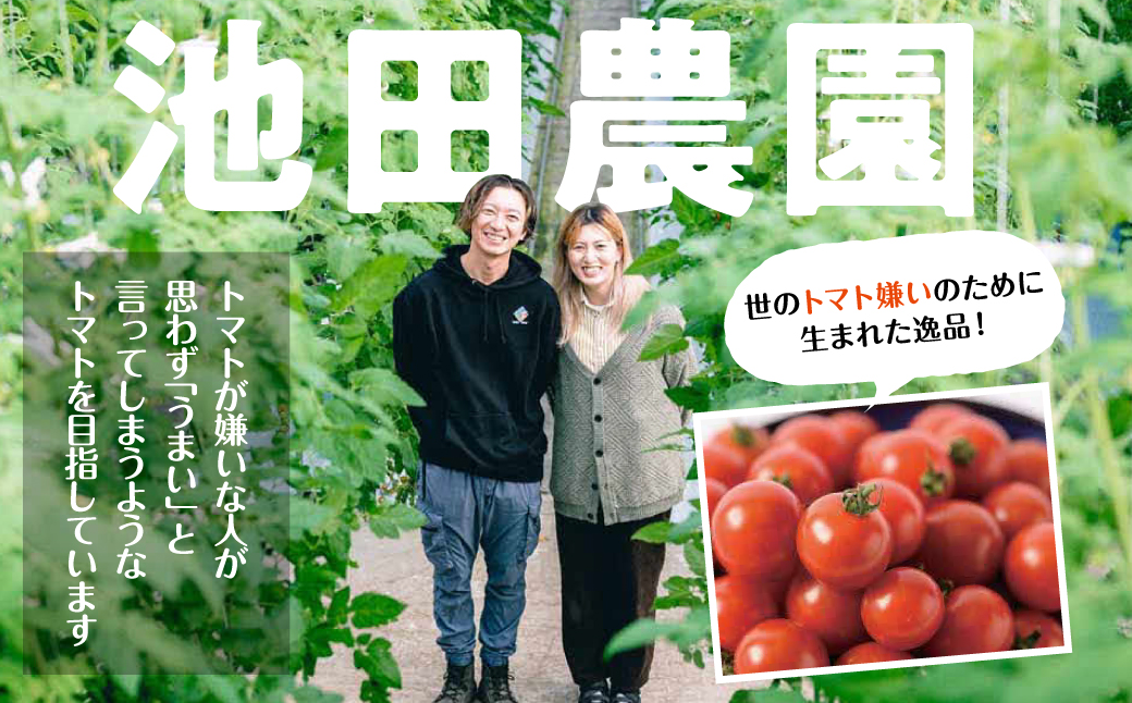【先行予約】 嫁がうまいと言う日まで 800g トマト ミニトマト とまと 野菜 やさい サラダ 新鮮 リコピン 特産品 熊本県 八代市 【2026年12月上旬より順次発送】