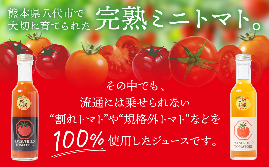 八代産完熟ミニとまとジュース 180ml（赤・白） 2本セット トマト ミニトマト 完熟 ジュース 飲料 野菜 熊本県 八代市