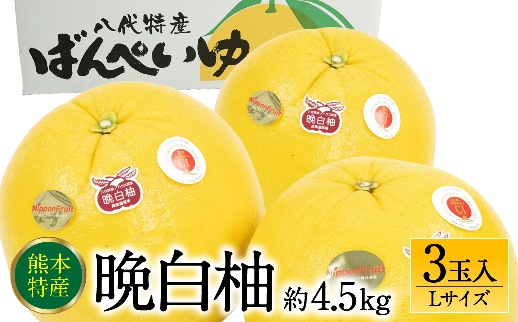 【先行予約】 晩白柚 ばんぺいゆ Lサイズ 3玉 約4.5kg 果物 果実 くだもの フルーツ 柑橘 柑橘類 熊本県 八代市 【2026年12月上旬より順次発送】