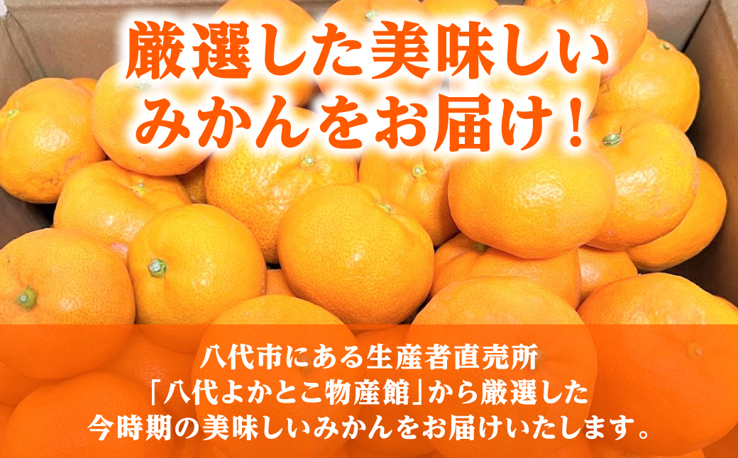 【先行予約】【訳あり】熊本県八代市産 ご家庭用みかん 約5kg 家庭用 蜜柑 ミカン 柑橘 くだもの 果物 デザート おやつ 熊本県 八代市 【2026年9月下旬より順次発送】
